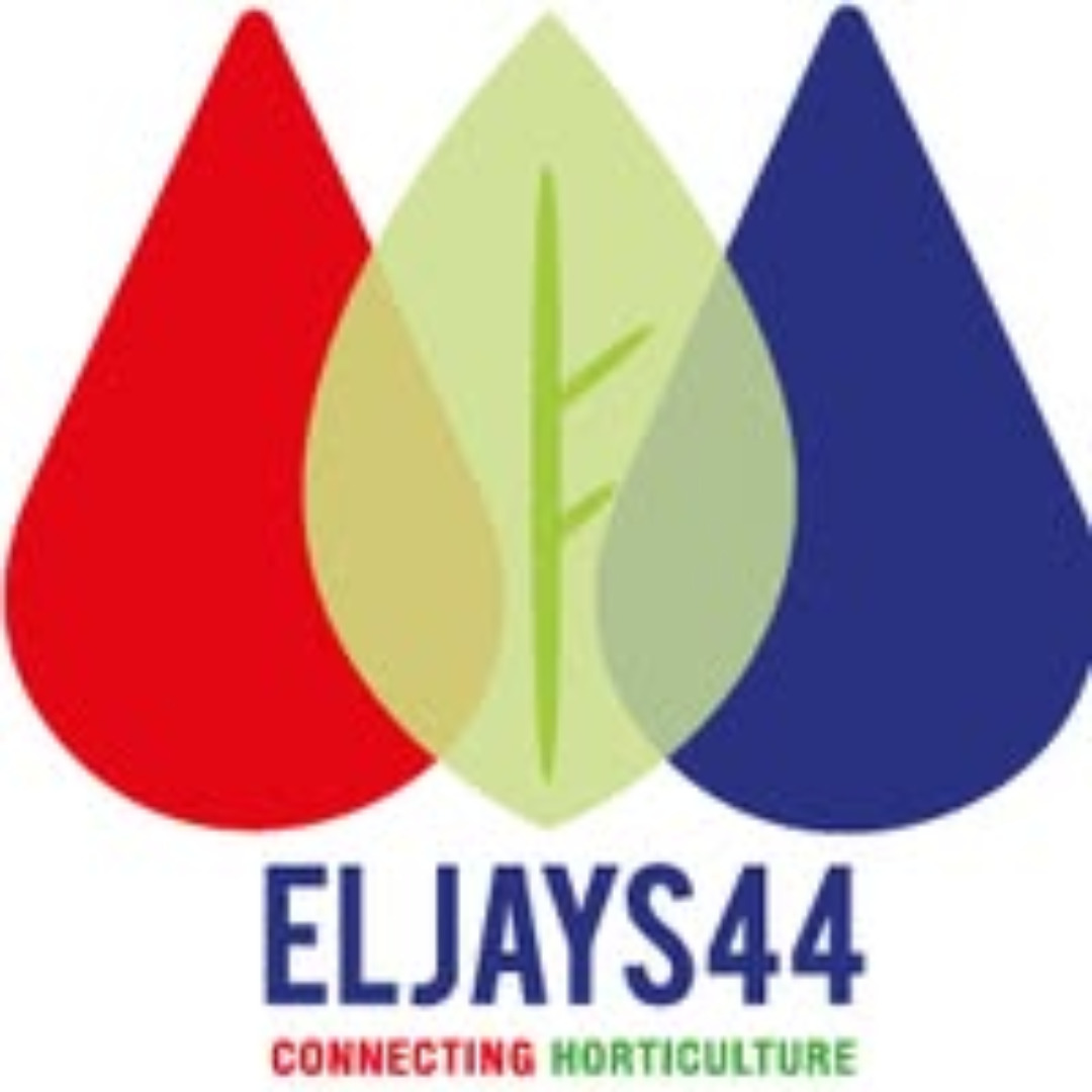 Organizer Avatar